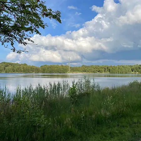 An Der Gaste *